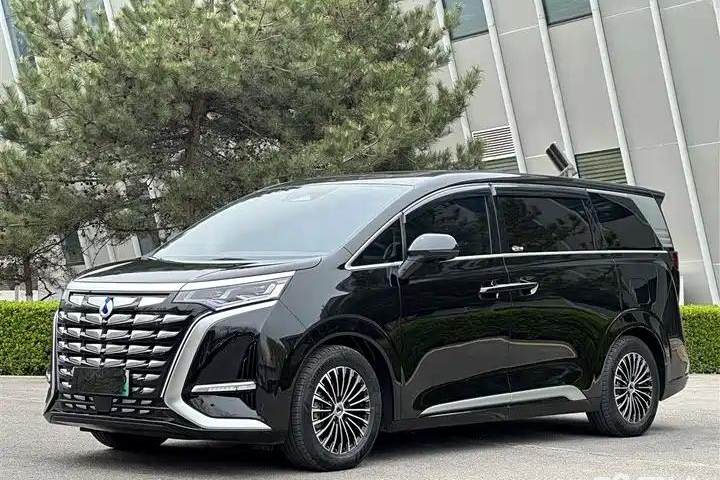 腾势 D9 2022款 DMi 1040 尊贵型