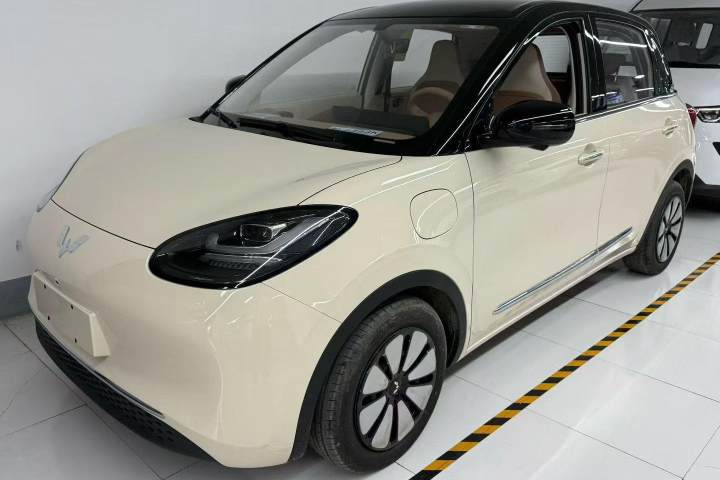 五菱汽车 五菱缤果 333km 灵犀尊享款