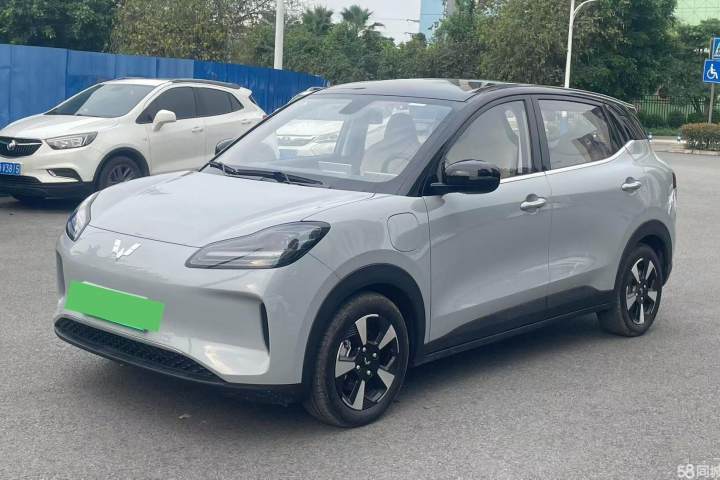 五菱汽车 五菱缤果PLUS 401km 五座版