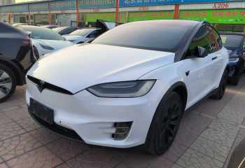 特斯拉 Model X 2019款 标准续航版
