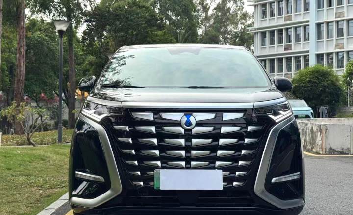 腾势 D9 2022款 DMi 1040 尊贵型
