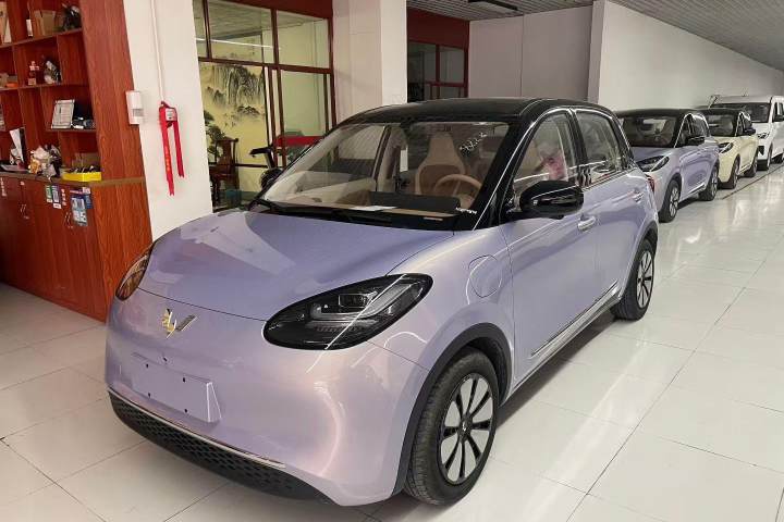 五菱汽车 五菱缤果 333km 灵犀尊享款