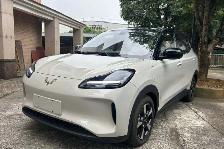 五菱汽车 五菱缤果PLUS 401km 五座版