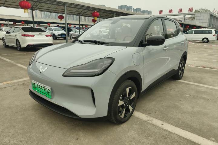 五菱汽车 五菱缤果PLUS 401km 五座版