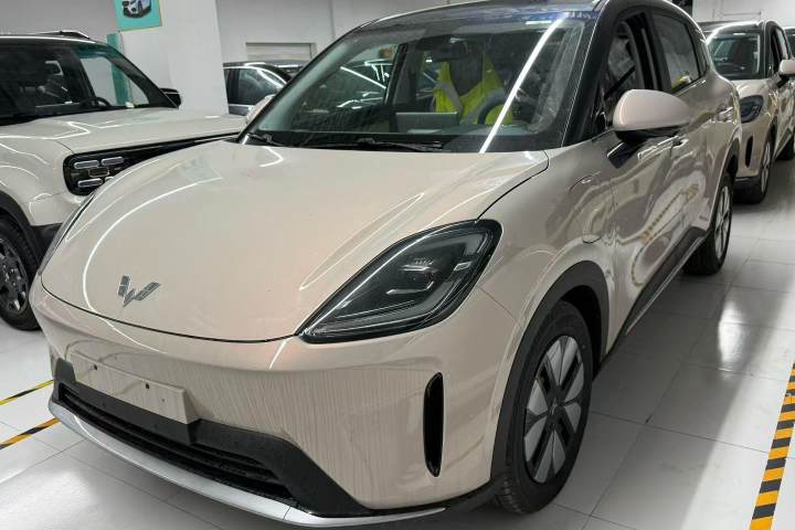 五菱汽车 缤果S 430km 尊享款