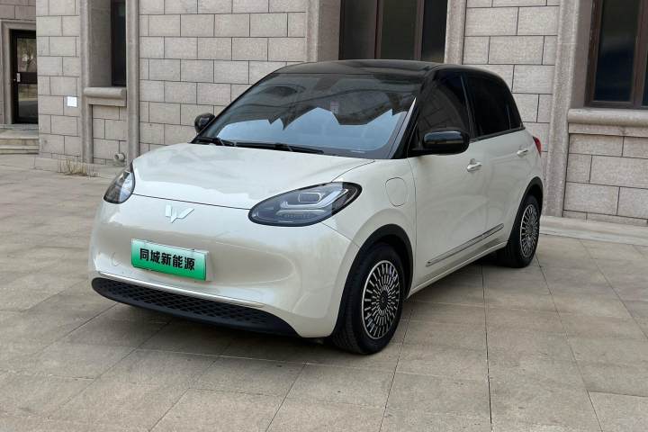 五菱汽车 五菱缤果 410km 灵犀尊享款