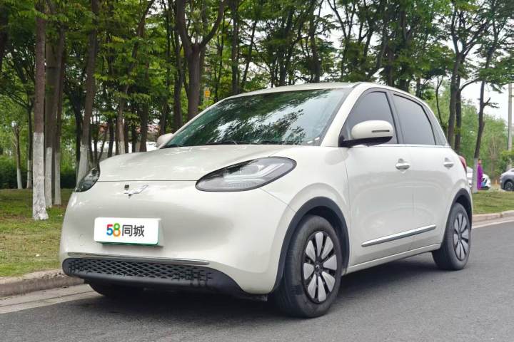 五菱汽车 五菱缤果 203km 轻享款