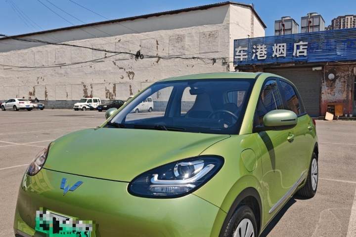 五菱汽车 五菱缤果 333km 快享款