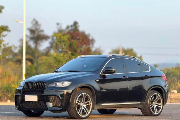 宝马 X6 xDrive35i