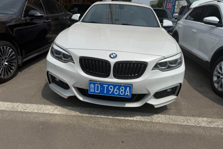 宝马 2系多功能旅行车 220i 领先型