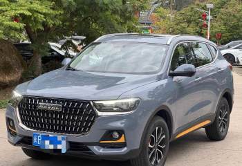 哈弗 H6 2023款 国潮版 1.5T 自动都市版
