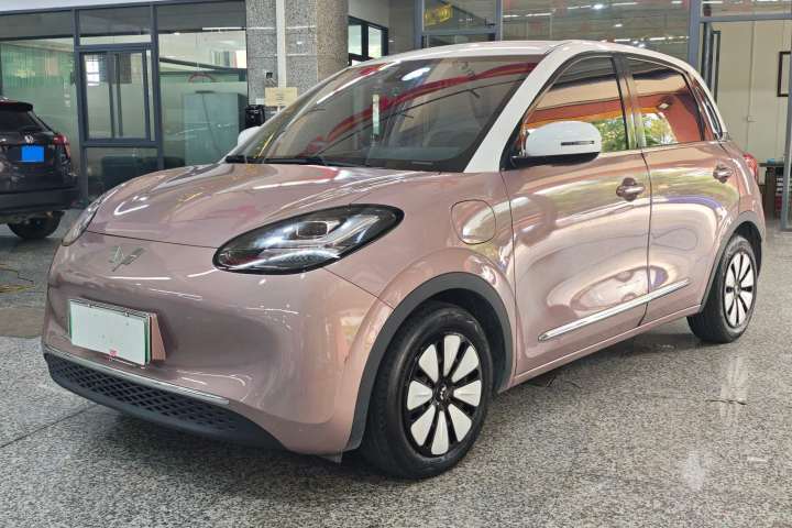 五菱汽车 五菱缤果 333km 灵犀互联+款