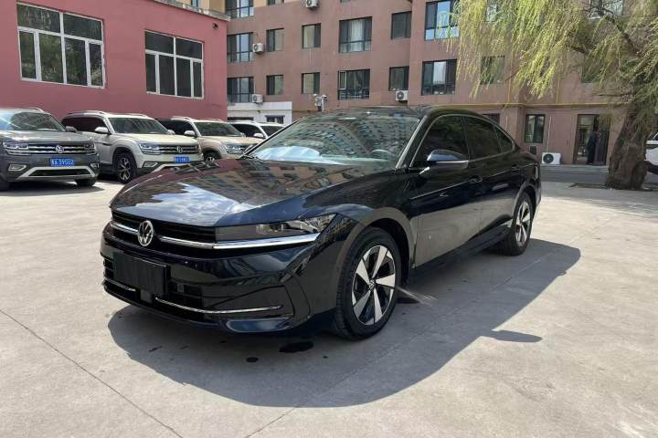 大众 迈腾 300TSI DSG尊享版显眼包