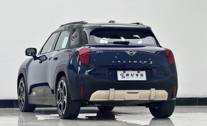 MINI 电动 ACEMAN 2024款 SE 艺术家
