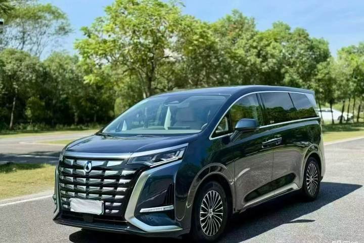 腾势 D9 DM-i 1040 尊贵型