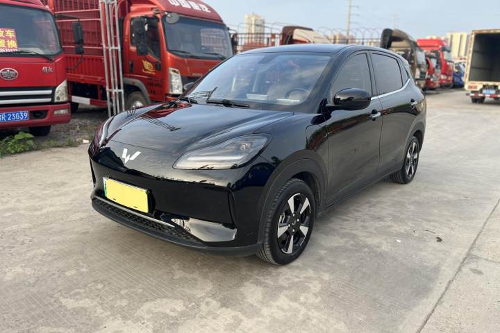 五菱汽车 五菱缤果PLUS 510km 旗舰版 四座版