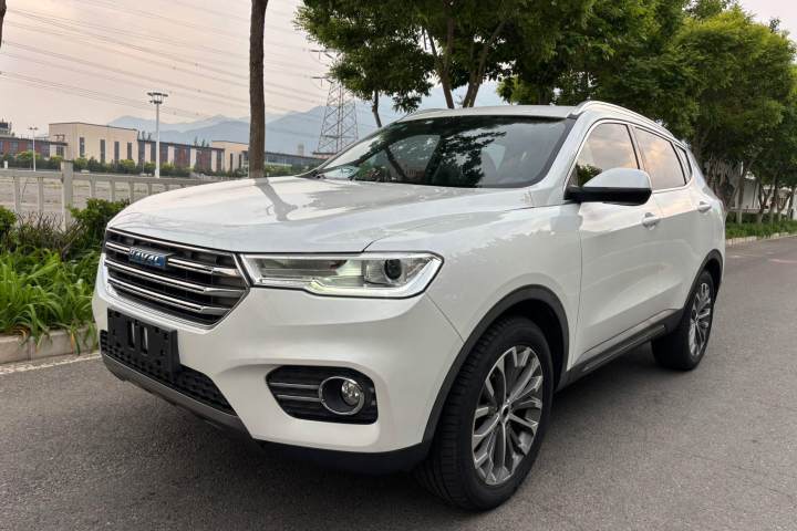 哈弗 H6 2017款 蓝标 2.0T 自动两驱智尚型