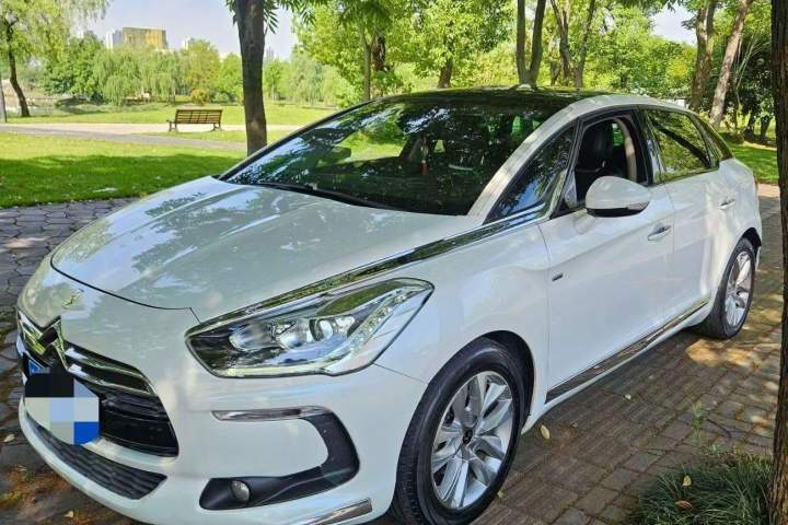 DS  5LS 1.6T 豪华版THP160