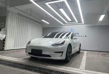 特斯拉 Model 3(进口) 2019款 标准续航后驱升级版