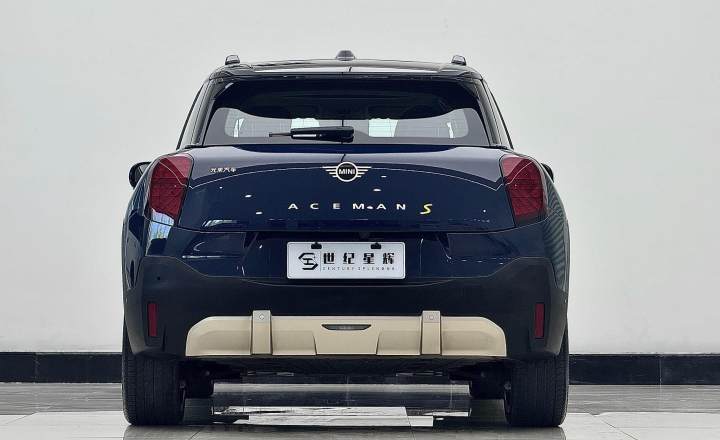 MINI 电动 ACEMAN 2024款 SE 艺术家