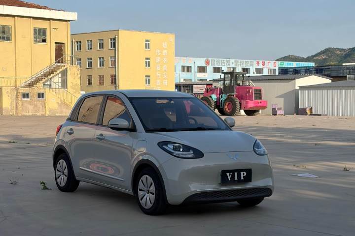 五菱汽车 五菱缤果 333km 快享款