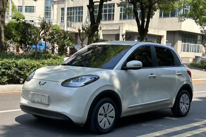 五菱汽车 五菱缤果 203km 轻享款