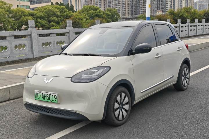 五菱汽车 五菱缤果 203km 舒享款
