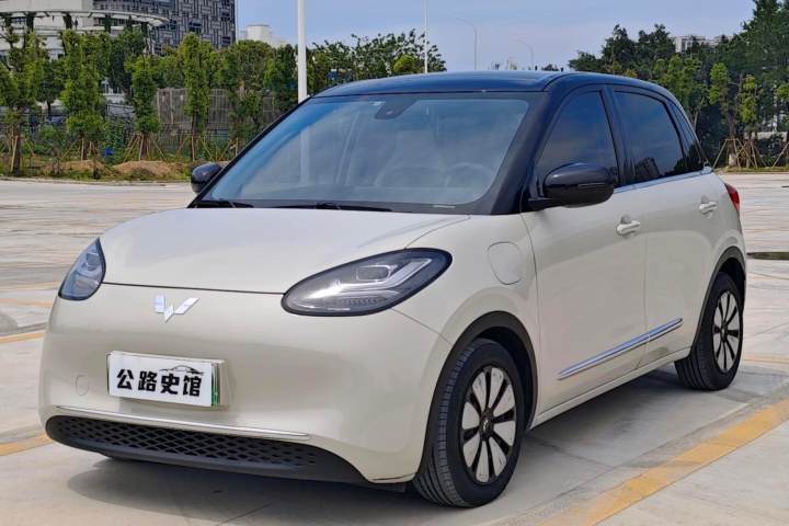 五菱汽车 五菱缤果 333km 灵犀互联+款