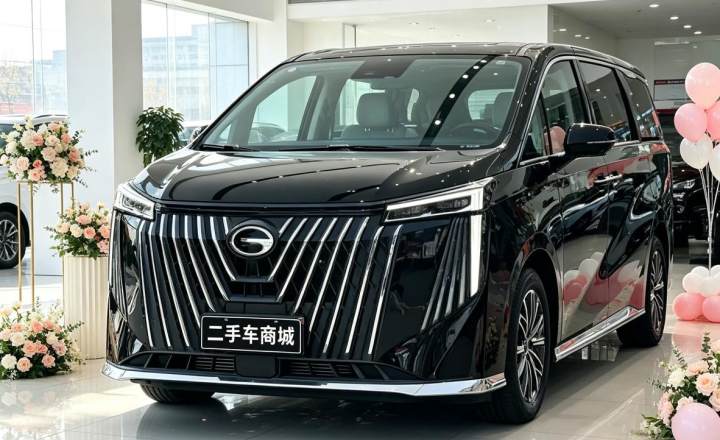 广汽传祺 传祺M8 2024款 大师系列 400T 至尊版