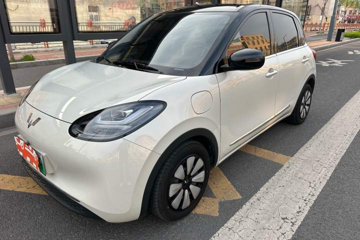 五菱汽车 五菱缤果 333km 悦享款