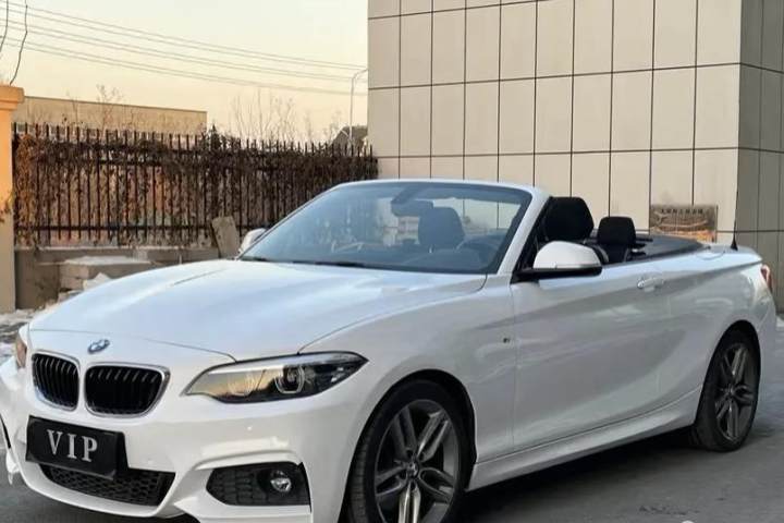 宝马 2系(进口) 225i 敞篷轿跑车 运动设计套装