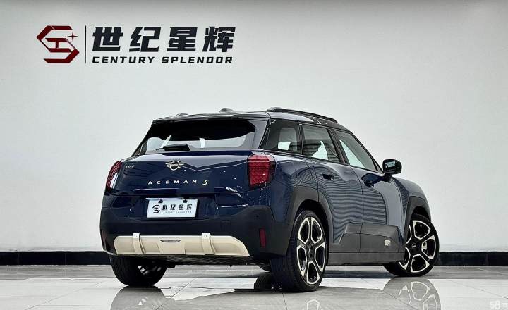 MINI 电动 ACEMAN 2024款 SE 艺术家
