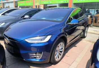 特斯拉 Model X 2019款 长续航版