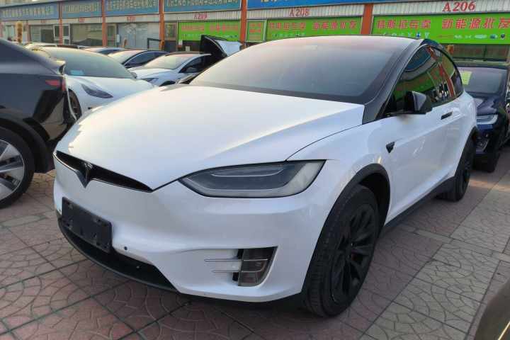 特斯拉 Model X 2019款 标准续航版