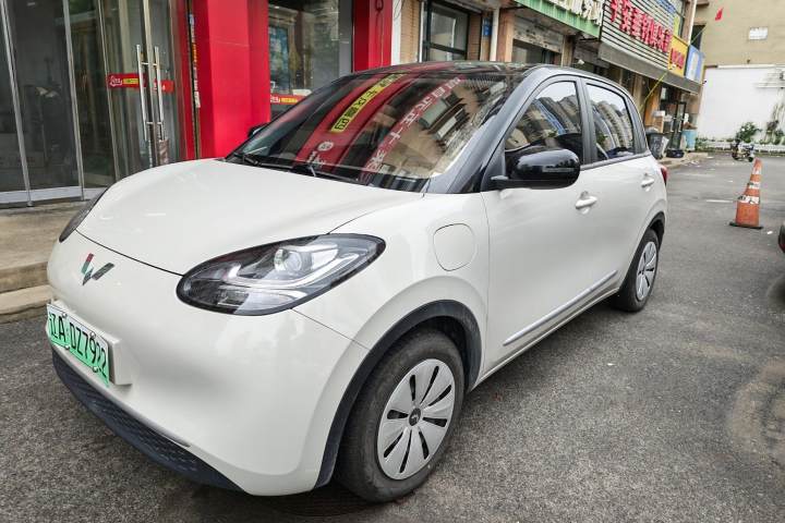 五菱汽车 五菱缤果 203km 轻享款