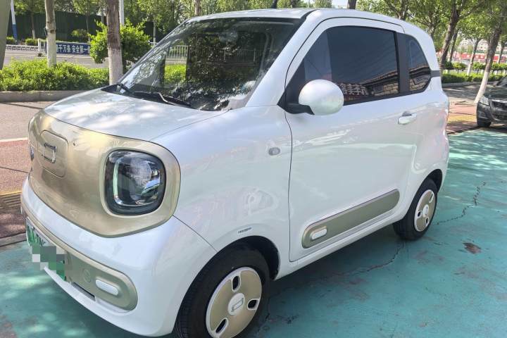奔腾 小马 222km 伶俐马