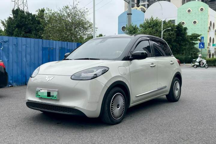 五菱汽车 五菱缤果 333km 灵犀互联+款