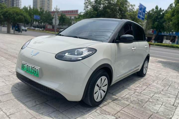 五菱汽车 五菱缤果 203km 舒享款