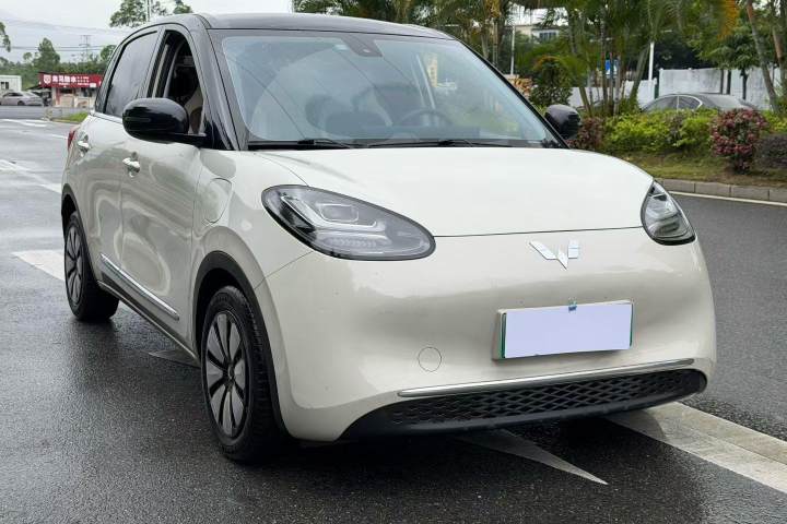 五菱汽车 五菱缤果 333km 灵犀互联+款