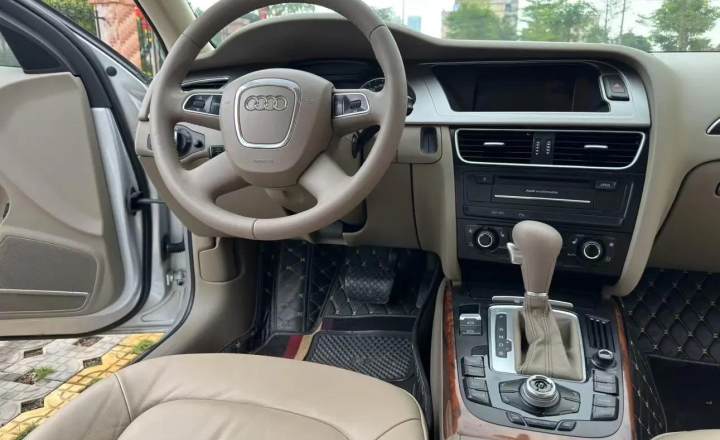 奥迪 A4L 2010款 2.0 TFSI 技术型