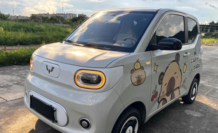 五菱汽车 宏光MINIEV 2024款 第三代 215km 青春版