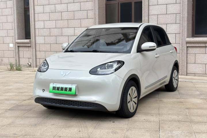 五菱汽车 五菱缤果 203km 轻享款
