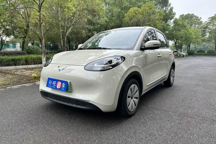 五菱汽车 五菱缤果 333km 快享款