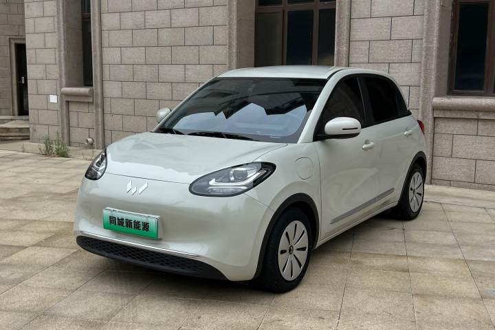 五菱汽车 五菱缤果 333km 快享款