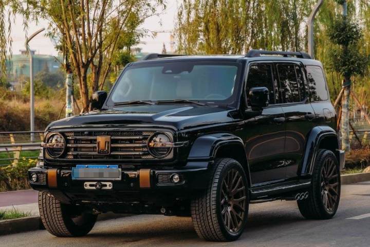 坦克 300 2024款 2.0T 挑战者