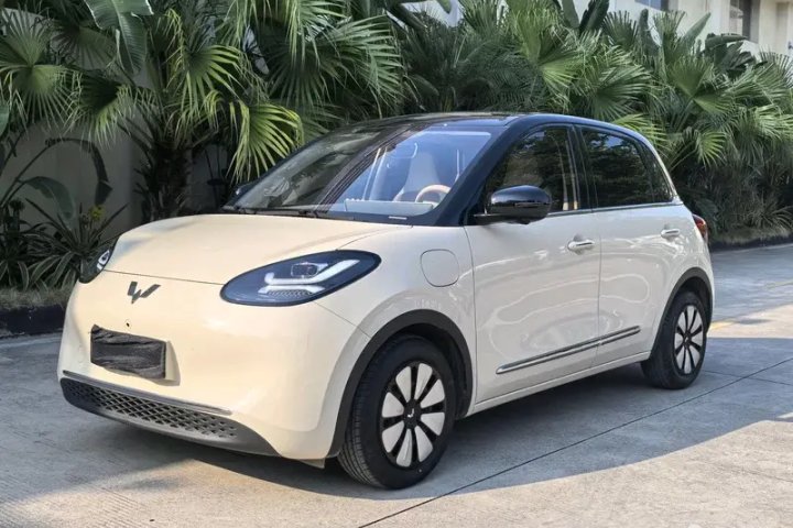 五菱汽车 五菱缤果 410km 灵犀尊享款