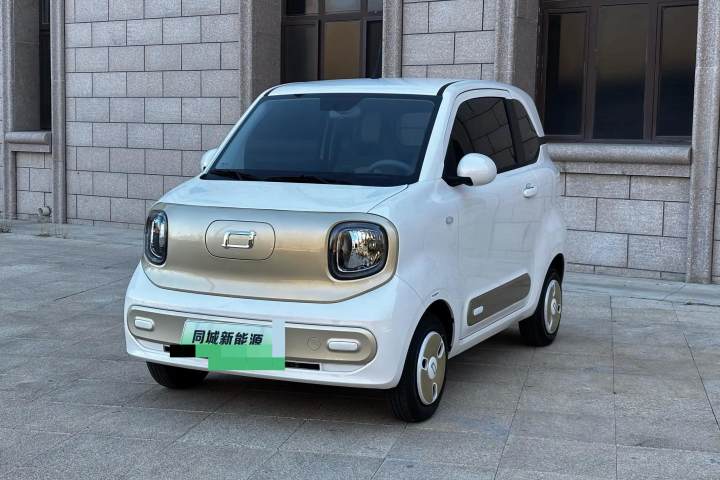 奔腾 小马 222km 灵动马