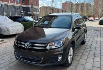 大众 途观 2010款 1.8TSI 自动两驱风尚版