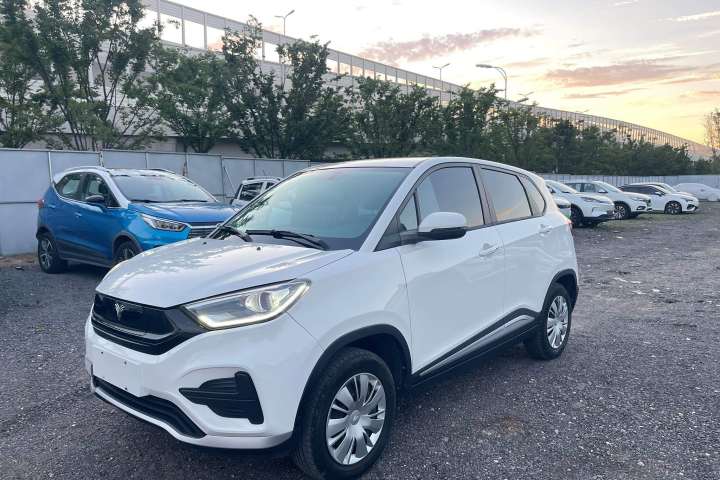 哪吒汽车 哪吒N01 中续航 380v