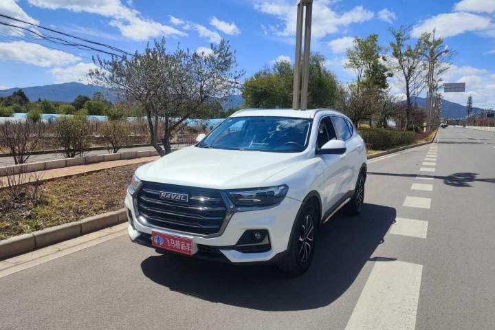 哈弗 H6 2021款 国潮版 1.5T 自动冠军版
